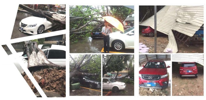 1742882463384410.png image.png